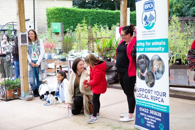RSPCA dog day at Kershaw's Garden Centre, Brighouse