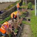 Volunteers working on Brighouse station Climate Change Garden