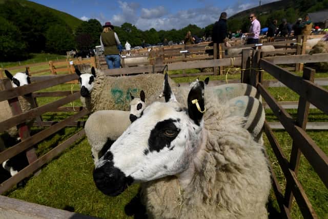 Flashback to the 2022 Todmorden Show: Organisers are hoping crowds will come flocking to this year's event on June 18 2023