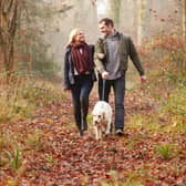 Walks are an essential part of a dog's daily routine - it stimulates them mentally, helps them physically and it’s also a chance for them to socialise with other dogs