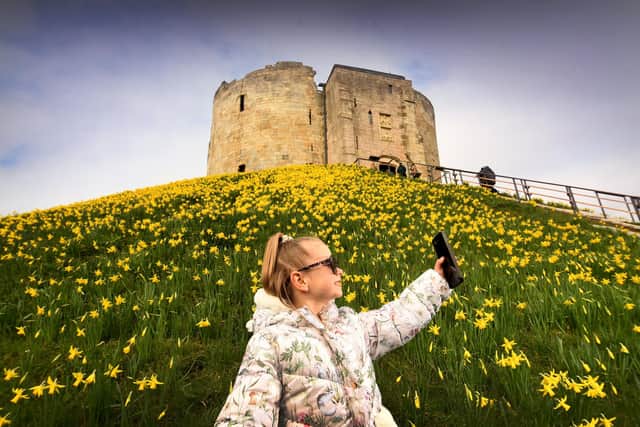 Ruby Robertson , aged five, pictured amongst the daffodils at Clifford's Tower