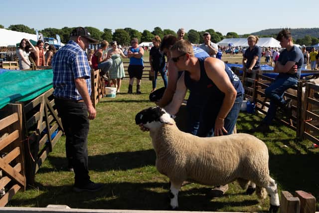 Last year's Halifax Agricultural Show