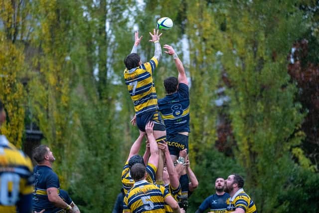 Crocs and Wests compete for line-out ball.
