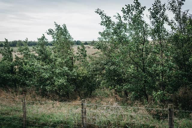 The planting of hedgerows could have a significant impact on slowing water flows down hills. Picture: Matt Radcliffe Photography