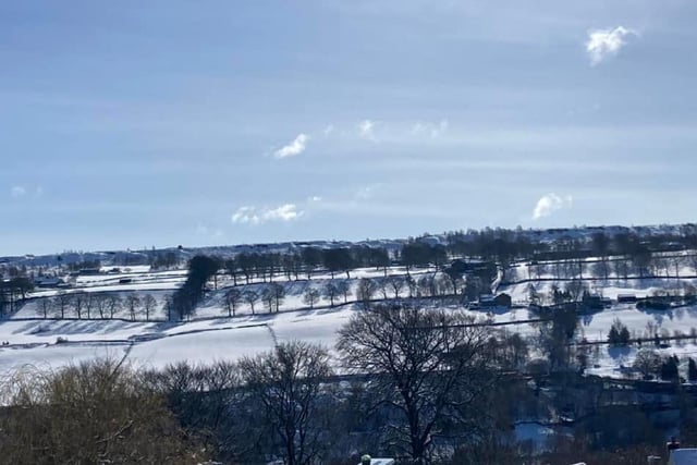 A snowy and sunny Norland shared by Jane Louise Fairbank