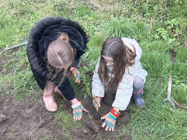Children from Burnley Road Academy in Mytholmroyd help plant trees