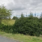 Some of the land which may be developed behind Wade House Avenue - access to the site would be off Wade House Road, Shelf. Picture: Google