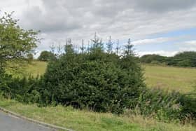 Some of the land which may be developed behind Wade House Avenue - access to the site would be off Wade House Road, Shelf. Picture: Google