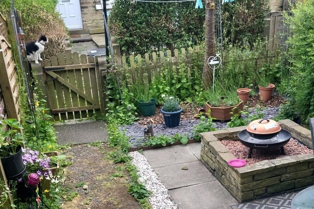 Spot the feline visitor to Danielle Simpson's beautiful garden