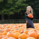 Spooky Halloween fun at Stockeld Park in October
