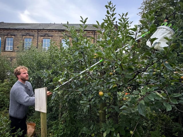 Incredible Edible Todmorden's inaugural Apple Day