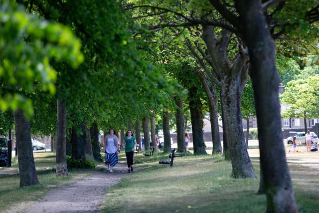A good option for a serene stroll is around Savile Park.
