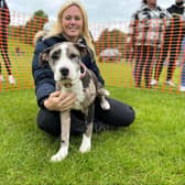 RSPCA's Shibden Dog Day event is postponed due to heatwave