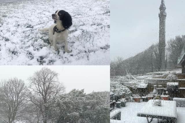 Snow in Halifax: 29 pictures sent in by Halifax Courier readers as snow covers Calderdale