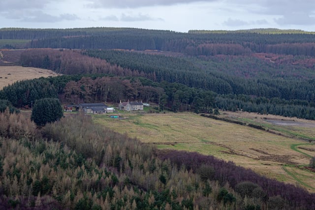 The middle of Dalby Forest is officially the darkest place in the North York Moors National Park and there are a couple of dedicated observatories here plus a special planetarium where you can enjoy the night sky at its best.