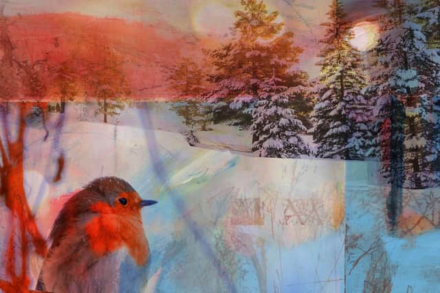 Winter Forest by Kate Boyce for Scope.