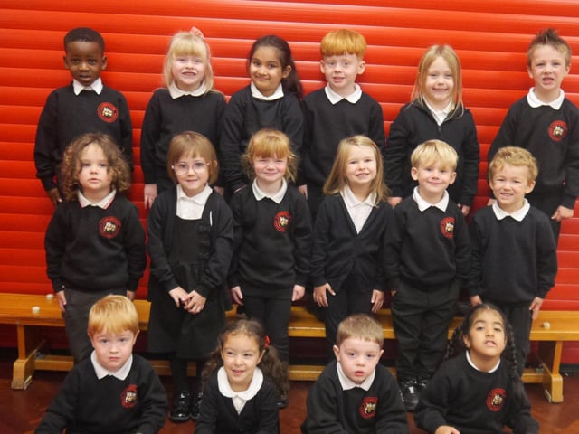 Longroyde Primary School, Rastrick. Barn Owls.