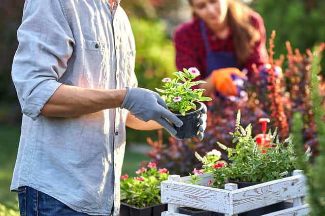 Green-fingered Brits are being given an expert insight into the upcoming garden trends for  2023.