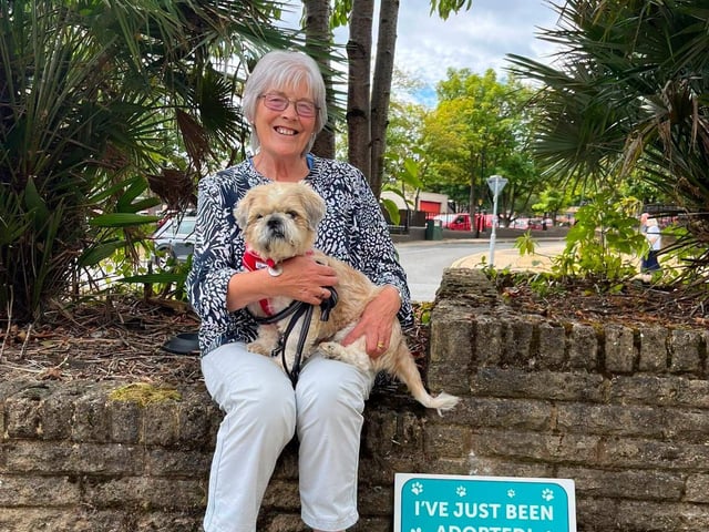 Bubba, a 10 year old cream Shih Tzu cross, pictured with their new owner