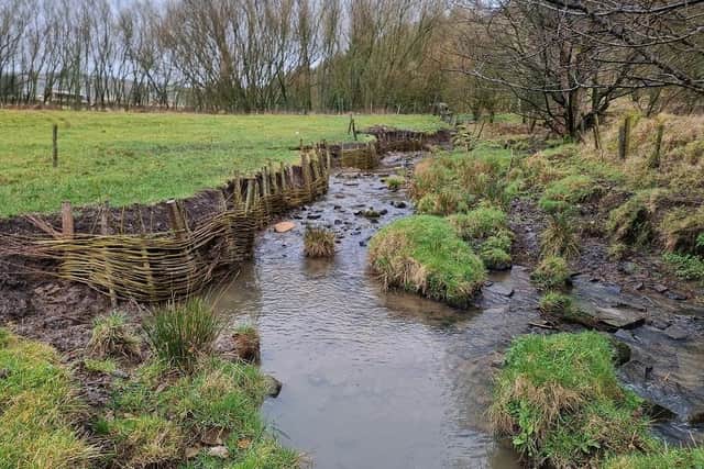 Strines Beck, Halifax, after having had willow spiling put in along the banks to prevent river bank erosion.