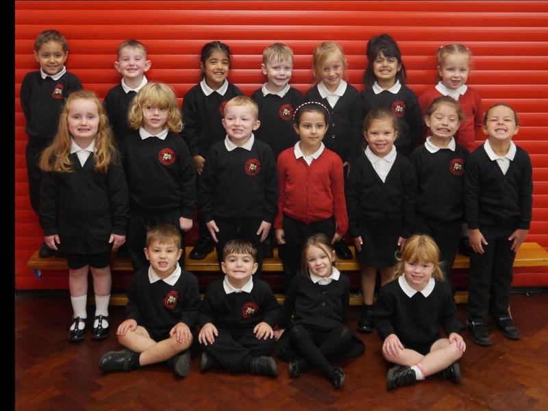 Longroyde Primary School, Rastrick, Tawny Owls.