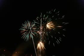 Councillors have agreed to try to curb nuisance fireworks