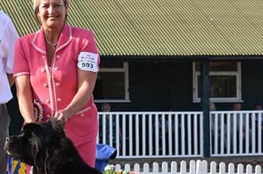 Suzanne Blake with Felix, when he won best puppy in show at last year's National Working and Pastoral Championship Show .