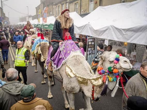 The camels were a hit at last year's event. Picture by Steven Lord