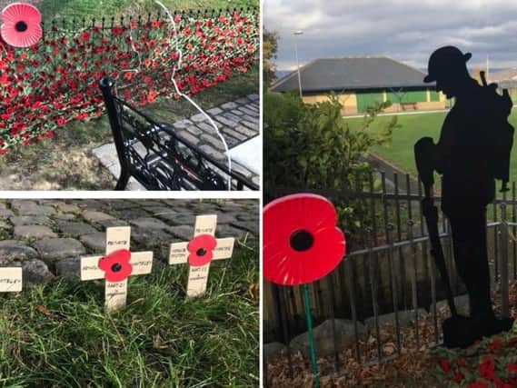 The poppy displays created by the Sowood WI