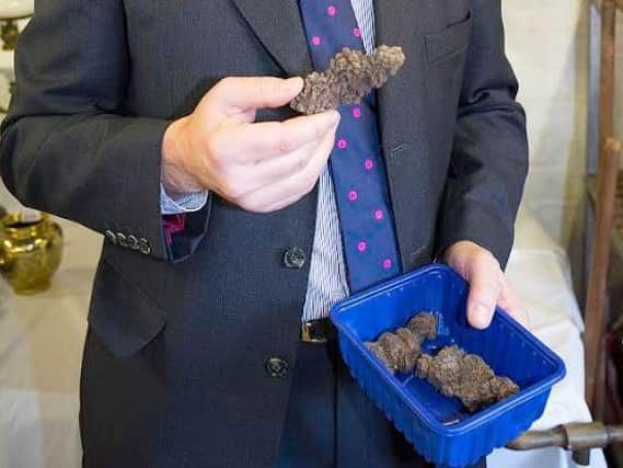 The 23-million-year-old dinosaur poo bought in Halifax