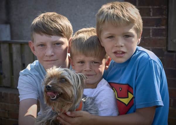 Lost Yorkshire terrier Ted found by Charlie Hutchinson (centre) aged five, with friends Daniel Quayle 12 and Harley Crossley eight