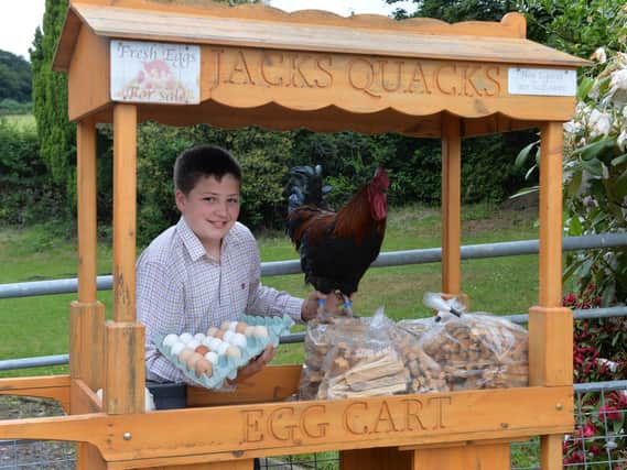Jack Mollet, 15, is already a veteran of selling sheep and hens at market