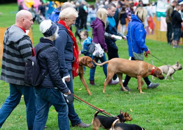 K9 Party in the Park at Manor Heath, Halifax