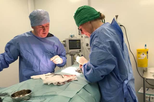 Myles and Cheryl Holdsworth performing the surgery
