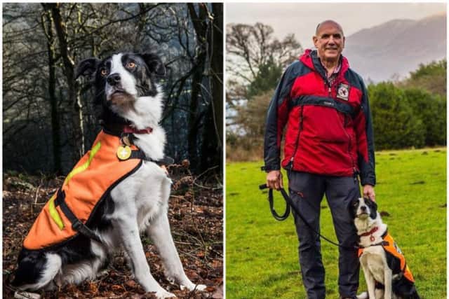 Pictures by Mountain Rescue Search Dogs England and photographybyanderson.co.uk