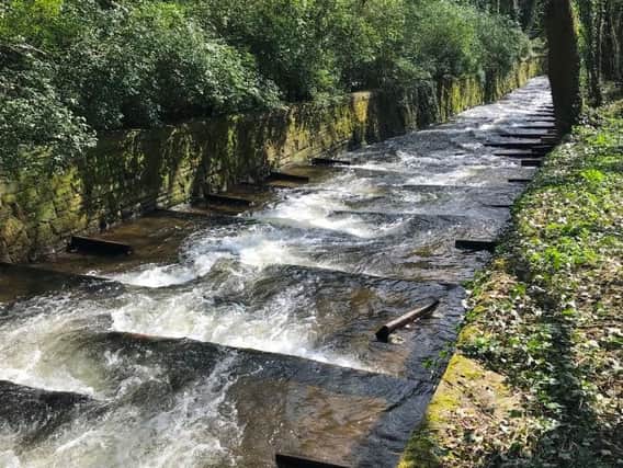 Yorkshire Water builds new trout fish pass in Calderdale at Salterhebble