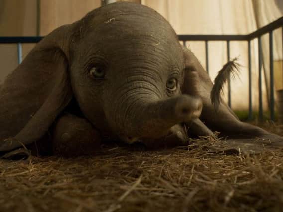 Fancy seeing the new re-make of the classic film Dumbo?