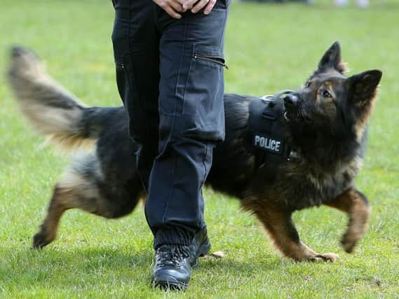 The police dog unit was called to assist with the arrests in Halifax