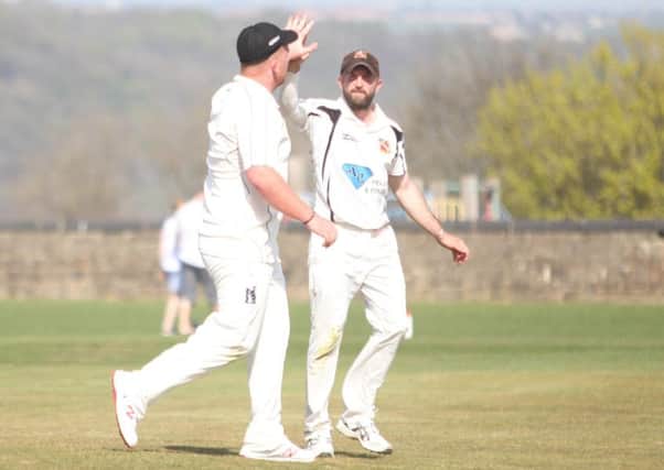 Jack Hendy celebrates a wicket for Elland against Holmfirth