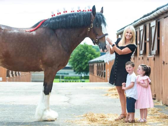 Sporting Soprano Lizzie Jones with her four-year-old twins Bobby and Pheobe and a heavy horse competitor