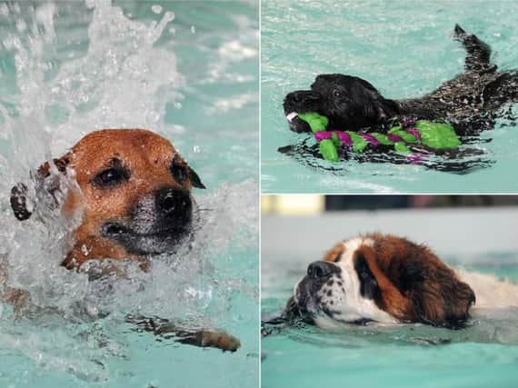 Could canines soon be learning the doggy paddle at the former Brighouse swimming baths