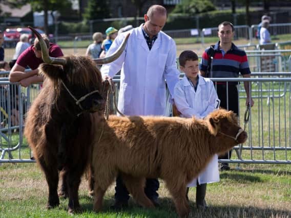 Your chance to win tickets to this year's Halifax Agricultural Show