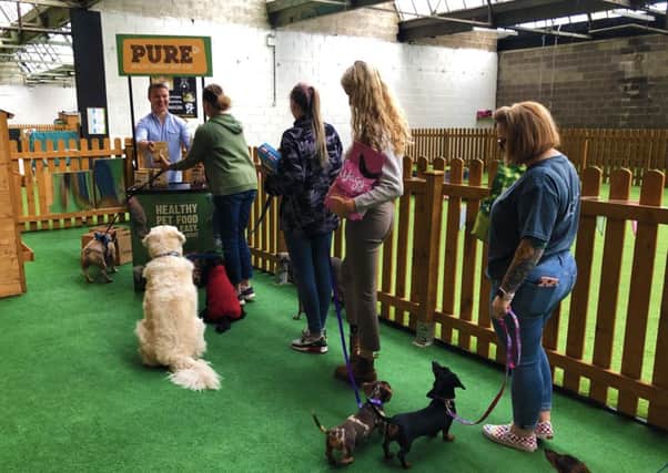 Fair exchange: Dog owners queue up to hand over unhealthy food for an healthier alternative from Pure Pet Food.