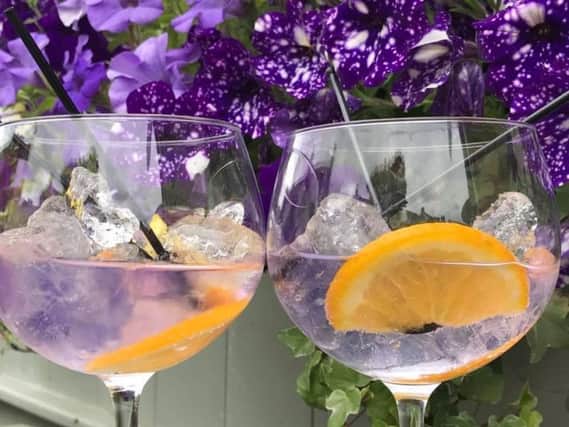 Calling all gin fans to new Halifax event in aid of RSPCA