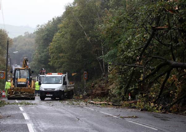 Felled trees in Cragg Vale as a tornado hit the valley.