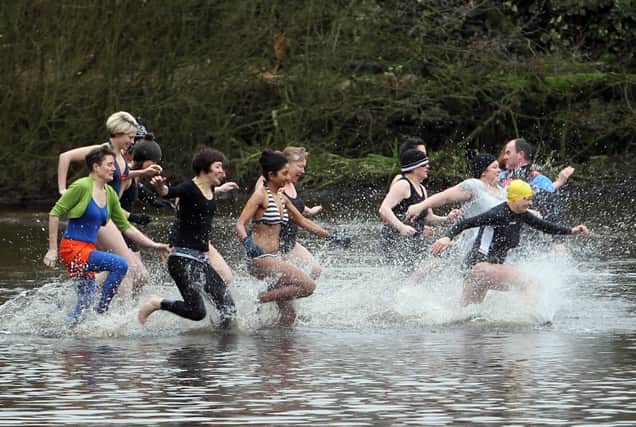 The ladies take to the water, in the annual Todmorden Swimming Club New Years swim at Lee Dam, Lumbutts, near Todmorden