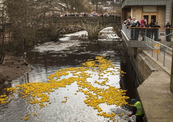 Hebden Bridge DuckRace sets off from St George's Bridge at 3.15pm