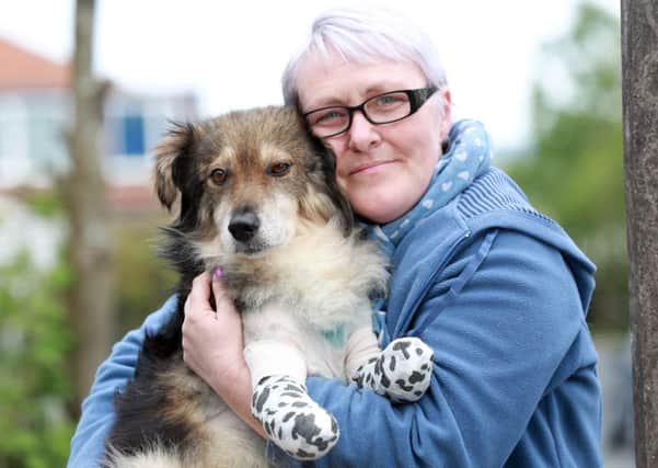 Picture shows 6-year-old stray dog Colin whose Romanian owners cut off his two front legs with his new owner Claire Revis.