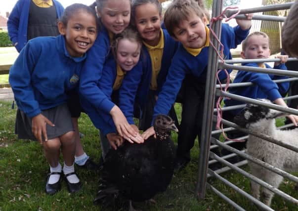 Pupils at Woodhouse Primary School, Brighouse, at the pop up farm.