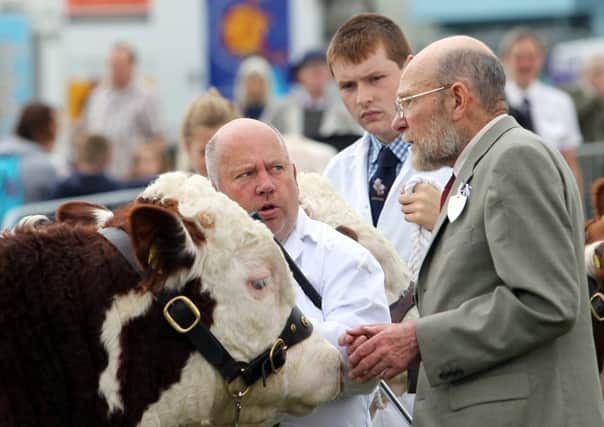 Inspection time for the herefords at last year's Halifax Agricultural Show.